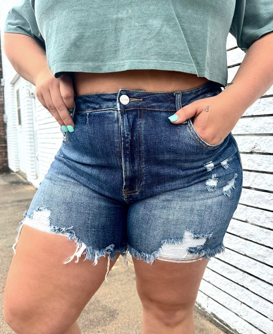 Krista Kate High Rise Destressed Denim Shorts